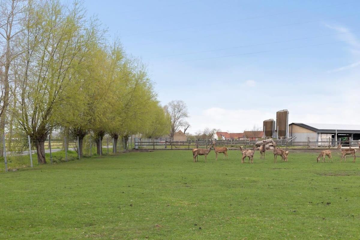 Huswell - Family House With A Beautiful View In Damme Villa บรูจส์ ภายนอก รูปภาพ